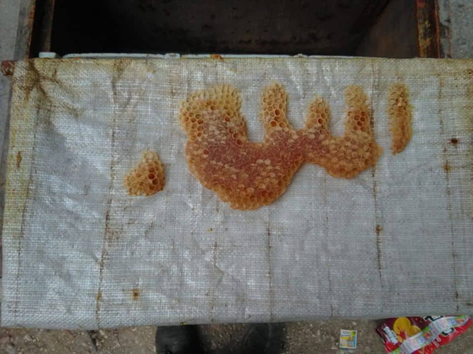GÖRENLER ŞAŞIRIYOR