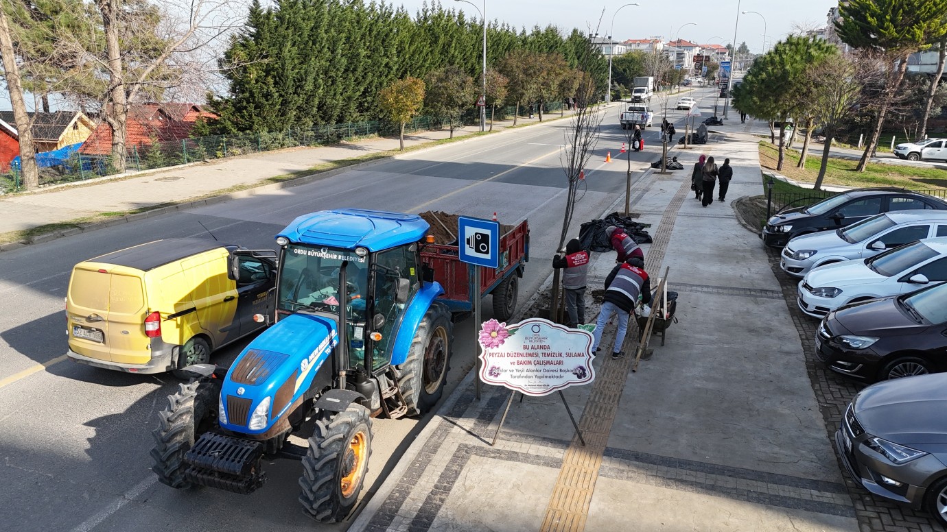 Ünye Sahil Yolunda Ağaçlandırma Seferberliği