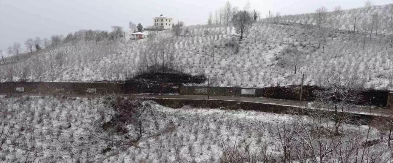 Ordu’da Etkili Olan Kar Yağışı Fındık İçin Olumlu Sonuçlar Doğuracak!