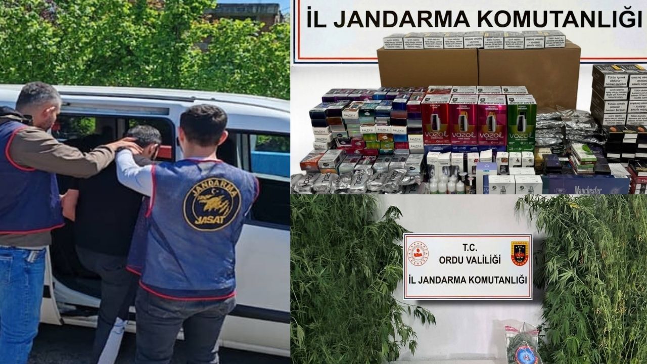 Ordu İl Jandarma Komutanlığı Son Bir Haftalık Faaliyet Raporu