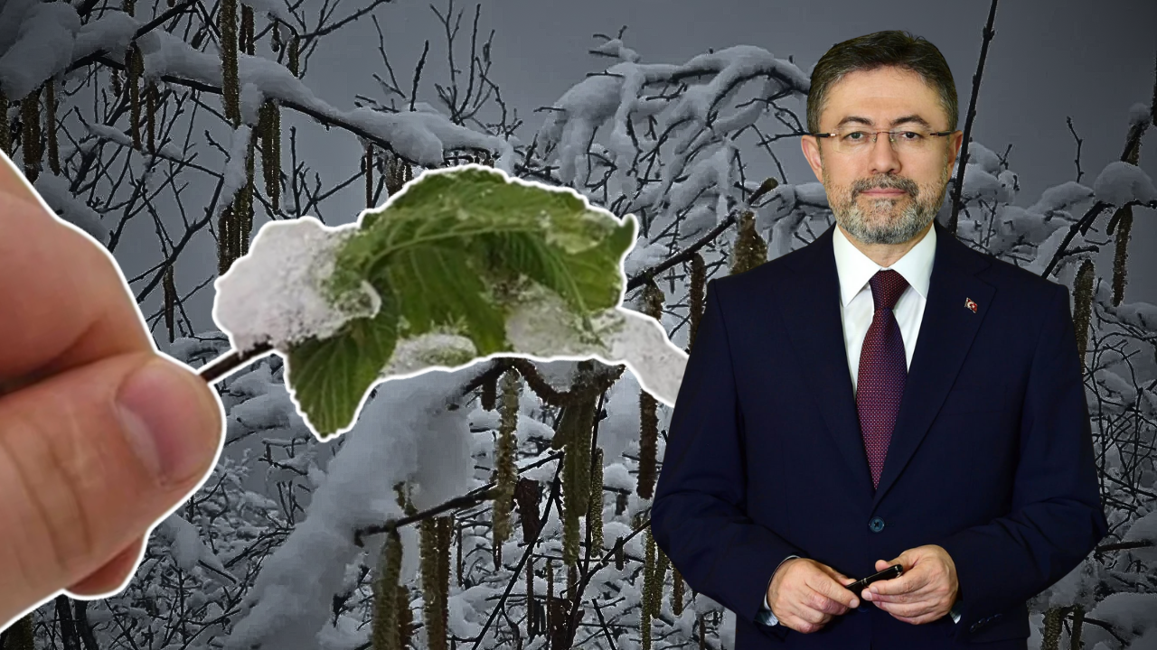 TARSİM Sigortası Olmayan Üreticilere Bu Ay Ödeme Yapılacak