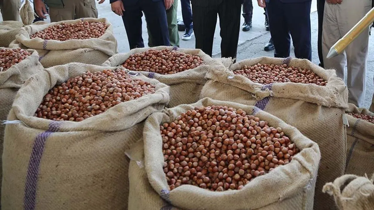 Fındıkta Teselli Fiyatı Açıklandı: A.A Kalite 700 TL, Diğerleri 450 TL