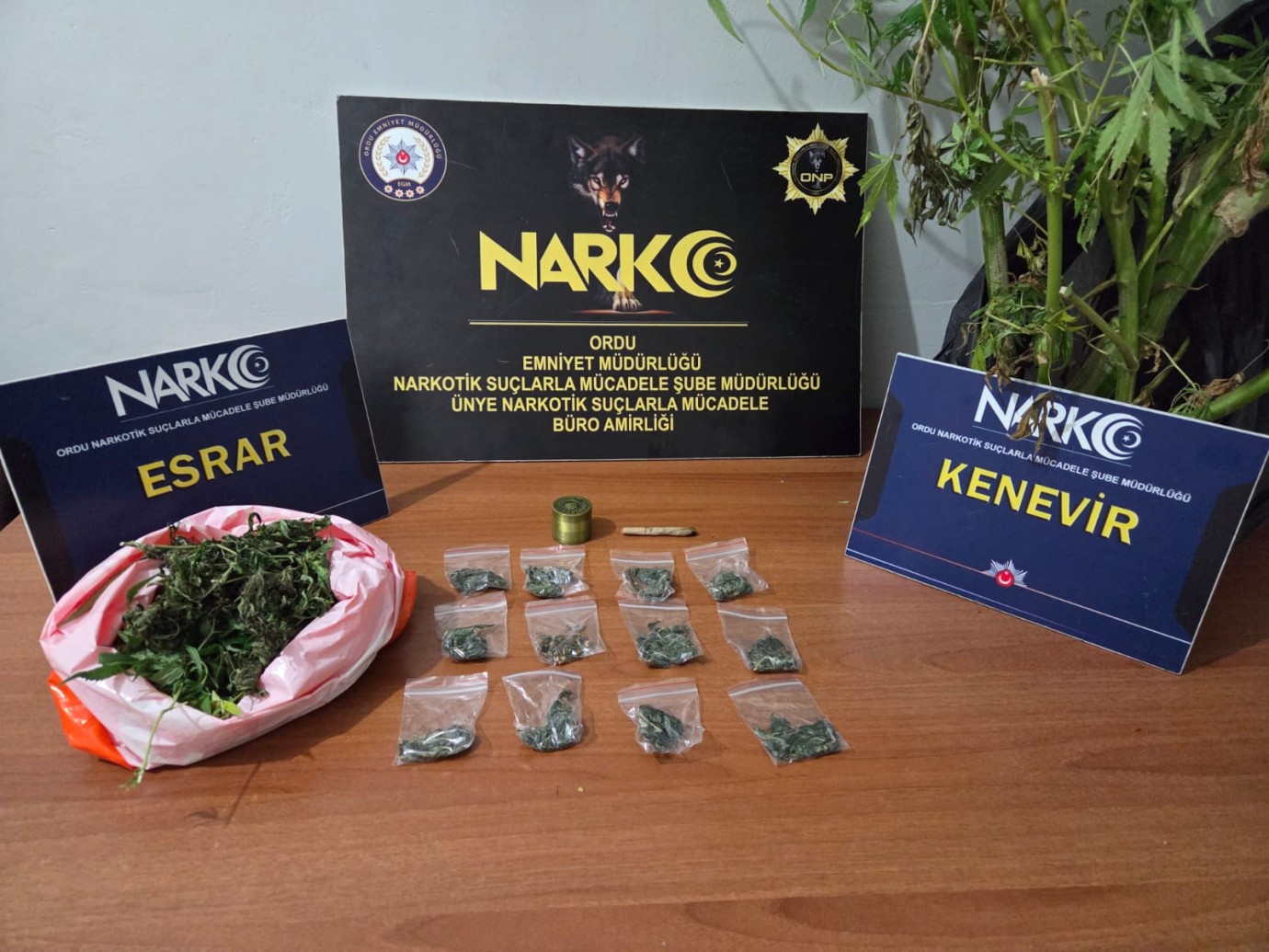 Ordu’da Kaçak Tütün Operasyonu: 5 Şüpheli Hakkında İşlem Başlatıldı