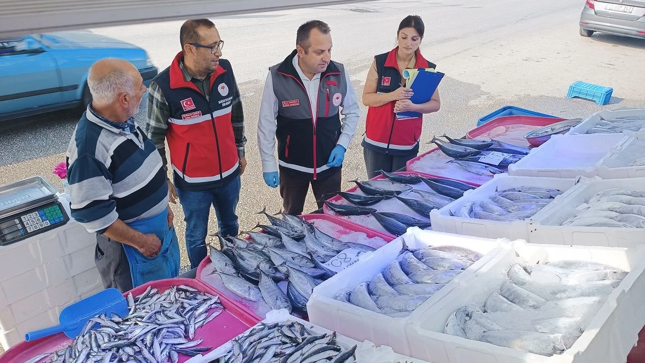 Balıkçılıkta Eş Zamanlı Denetim