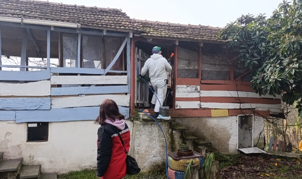 Fatsa ve Ünye’de Kokarca İle Mücadele Artarak Devam Ediyor