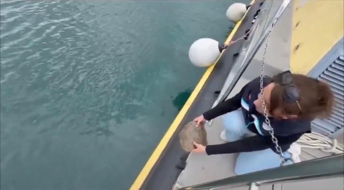 Ordu’da Kaçak Avcılığa Geçit Yok! Yasa Dışı Ağlar Toplandı