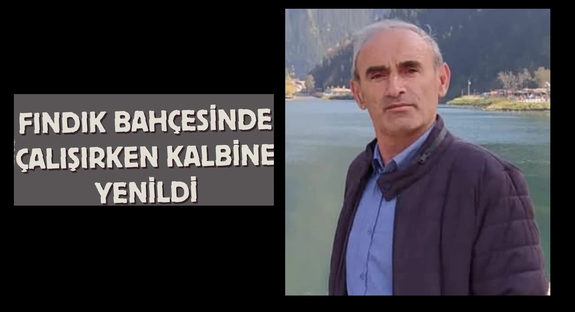 İlküvez'de Acı Olay: Fındık Bahçesinde Çalışırken Hayatını Kaybetti