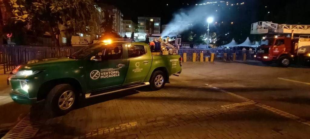 Ordu’da Sıcaklık Artışı Sivrisinek Yoğunluğunu Artırdı