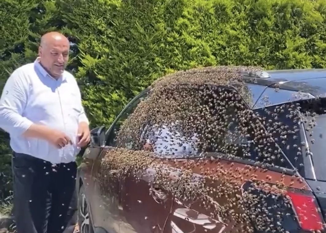 Ordu’da “Oğul Atan” Arılar Park Halindeki Araca Kondu
