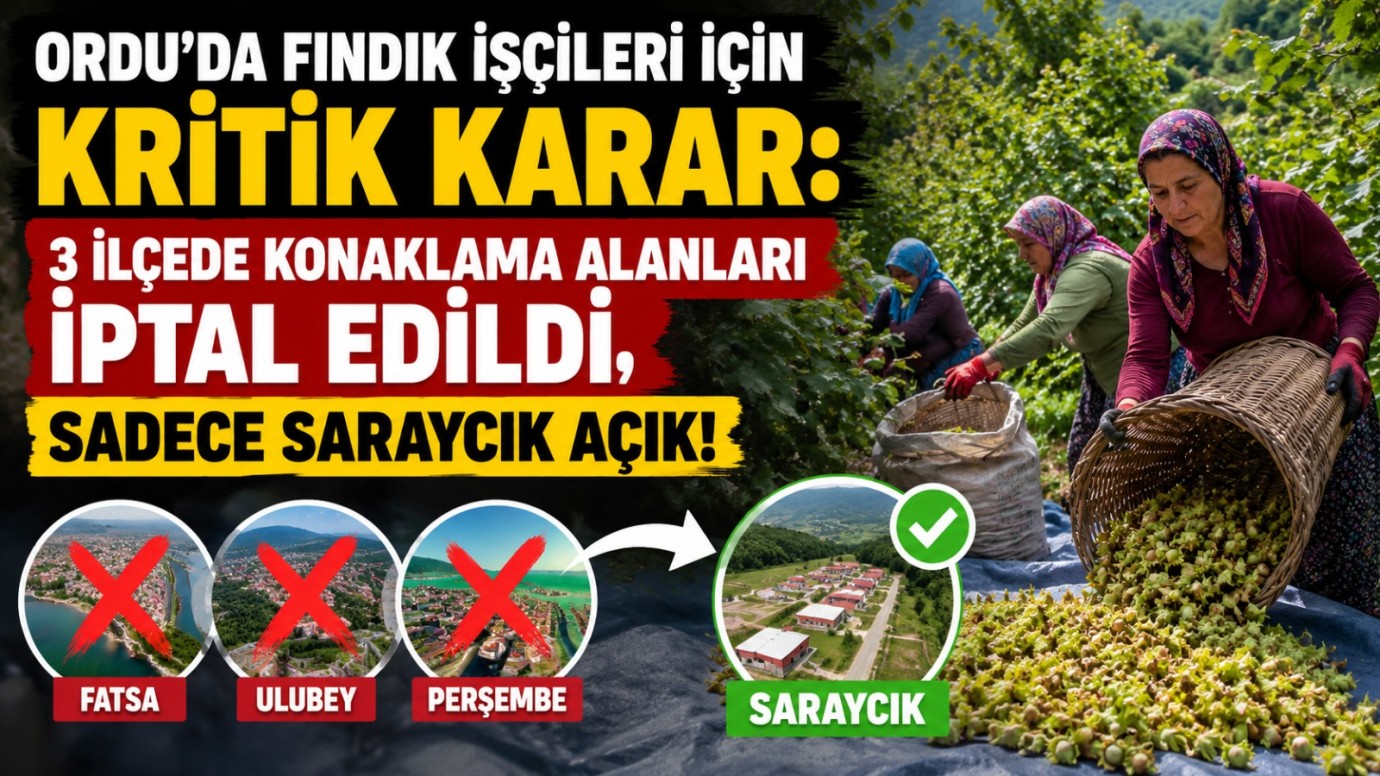 Ordu’da Fındık İşçileri İçin Yeni Düzenleme: Konaklama Alanları Yeniden Şekillendi