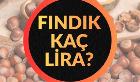 Fındık Kaç TL Oldu? Ordu’da Piyasada Sert Dalgalanma