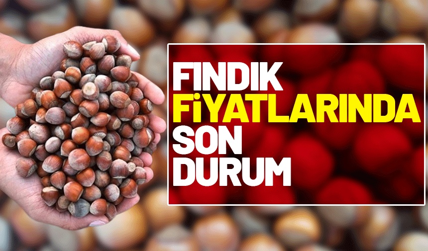 Ordu'da Fındık Piyasası Sessizliğini Koruyor: Gözler Yeni Sezon Fiyatında