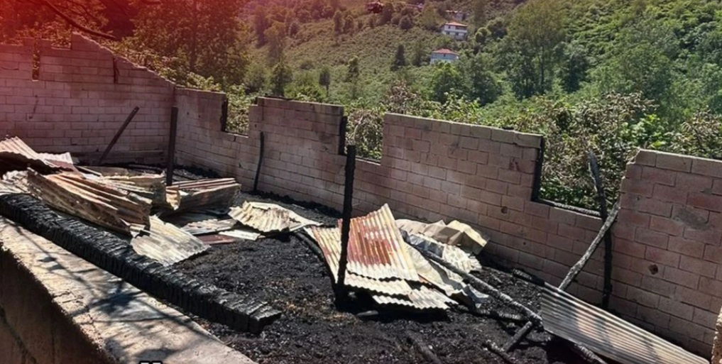 Gülyalı'da İki Mandıra Yangınla Küle Döndü: Kundaklama Şüphesi Araştırılıyor