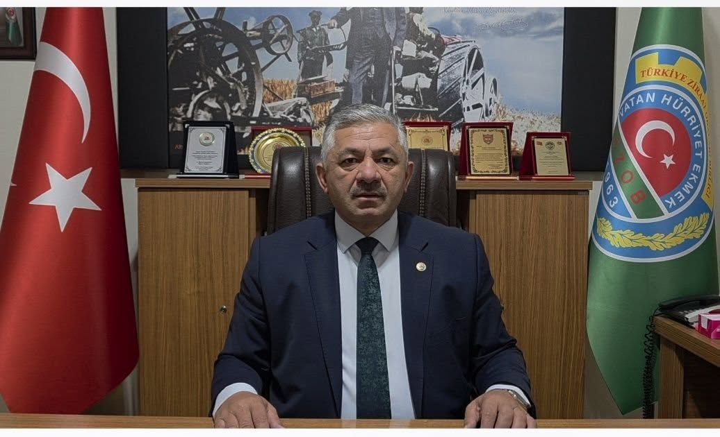 Ordu'da Fındık İşçileri Beklemede! 2026 Yevmiyeleri İçin Tarih Verildi