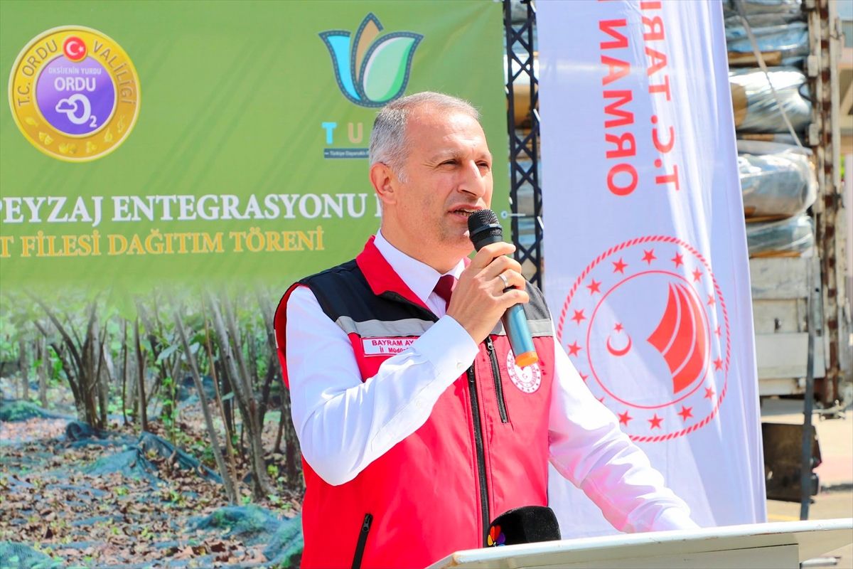 Fatsa'da Üreticilere %70 Hibeli Hasat Filesi Desteği
