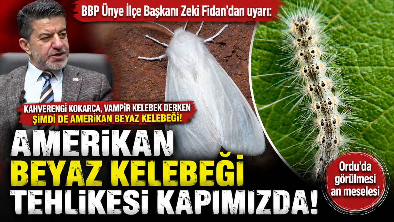 BBP Ünye İlçe Başkanı Zeki Fidan’dan “Amerikan Beyaz Kelebeği” Uyarısı