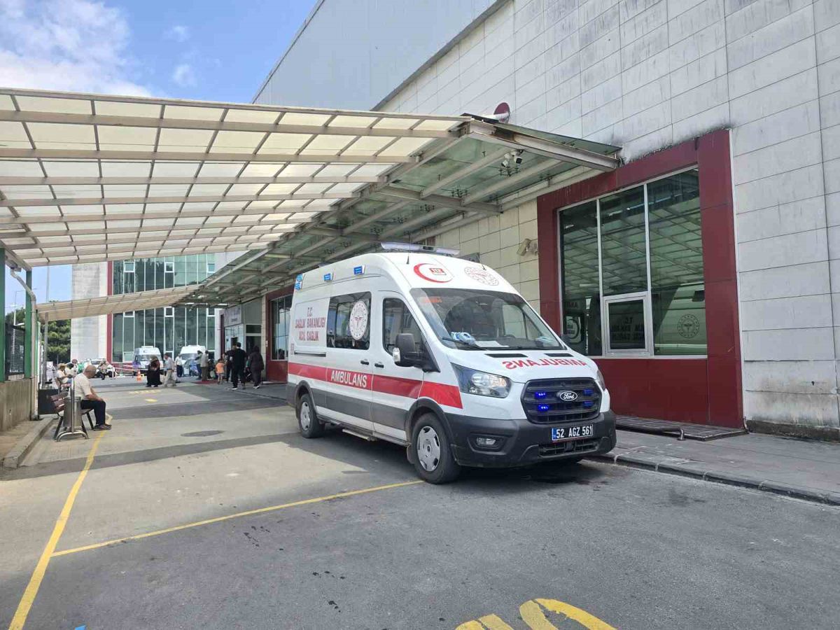 Korgan'da Yedikleri Mantar Hastanelik Etti