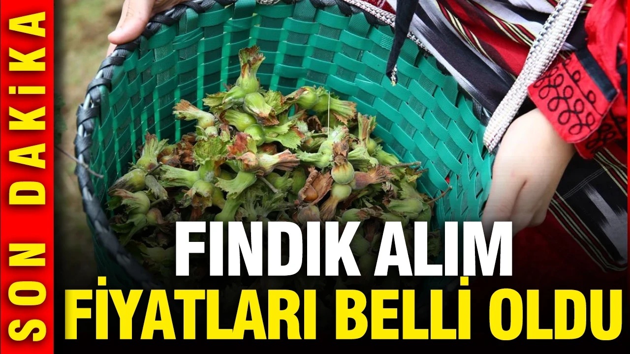 Fındık Fiyatı Açıklandı: TMO 2026 Alım Fiyatlarını Duyurdu
