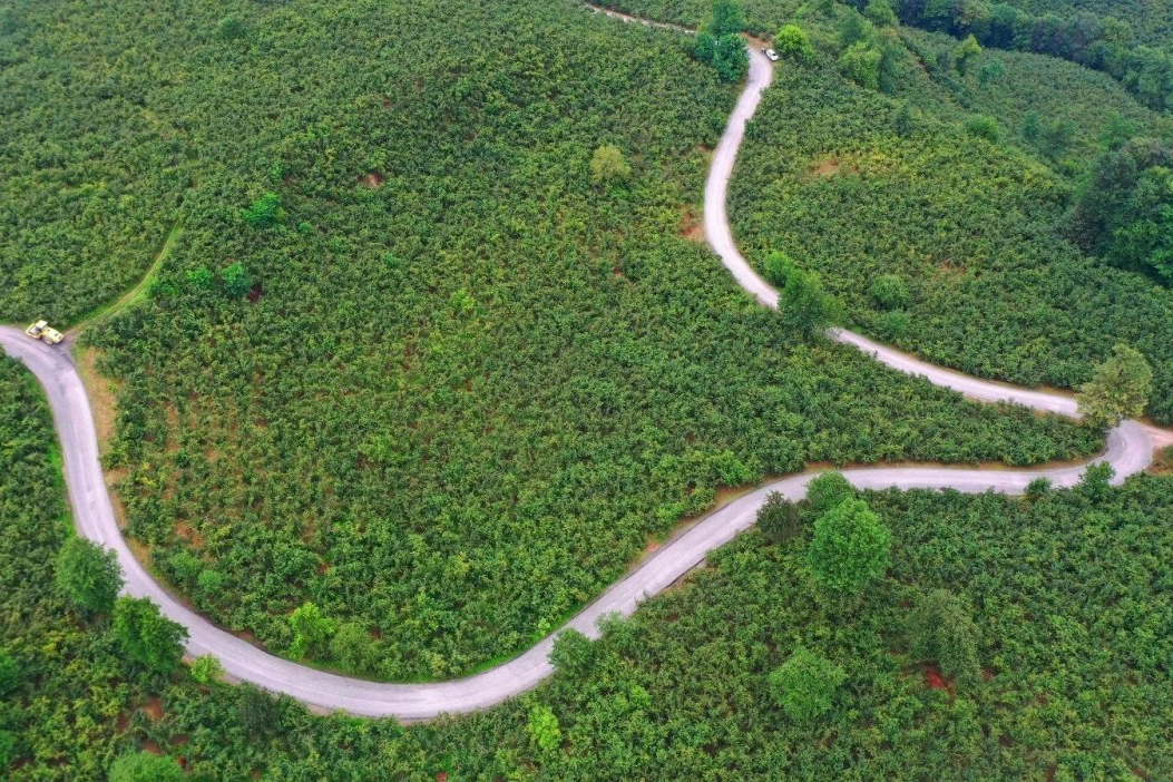 Ulubey’de 7 Kilometrelik Güzergah Asfaltlandı