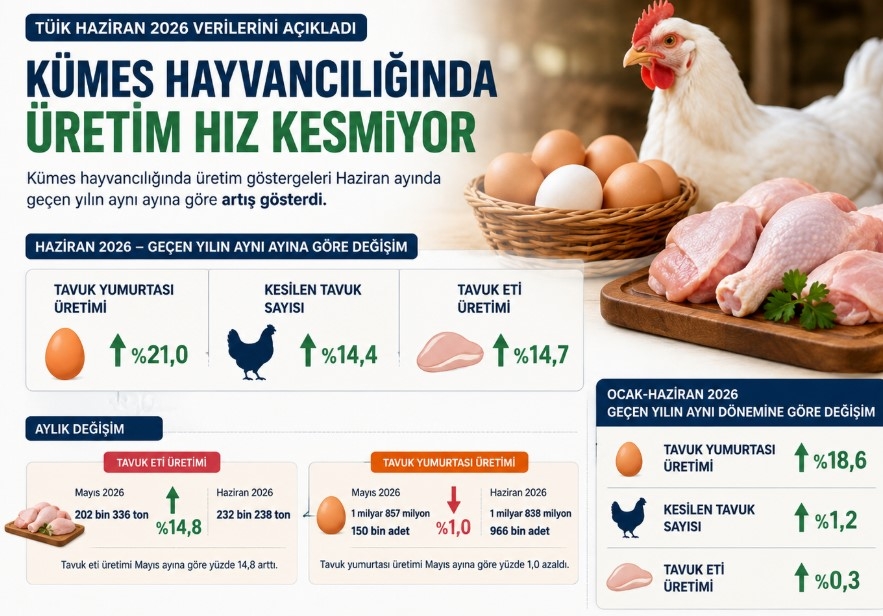 Kümes Hayvancılığında Haziran Ayında Üretim Hız Kesmiyor
