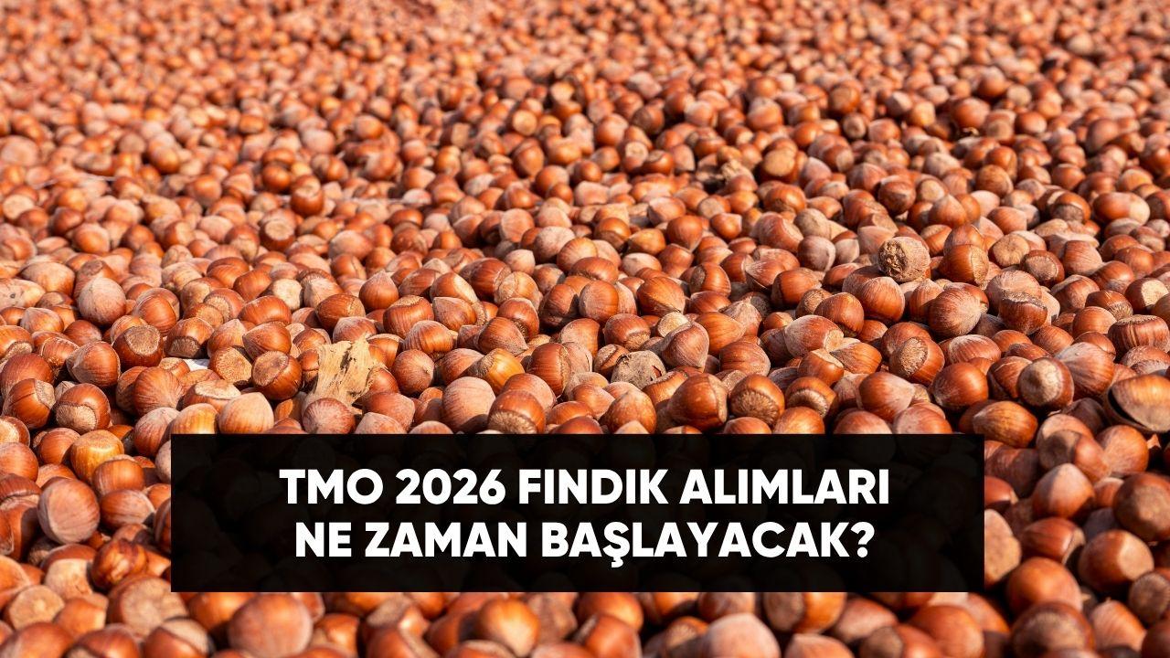 TMO Fındık Alımlarında Takvim Netleşti: Randevu 17 Ağustos’ta