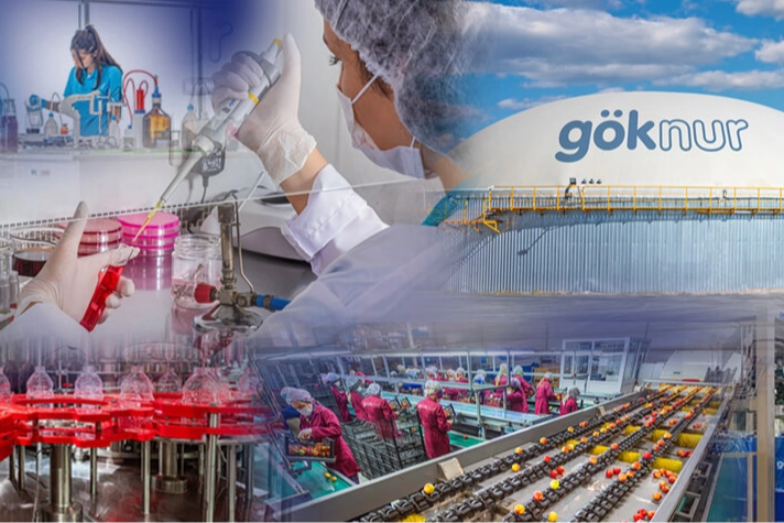 Göknur’dan kayyım açıklaması... Karar aynı gün kaldırıldı