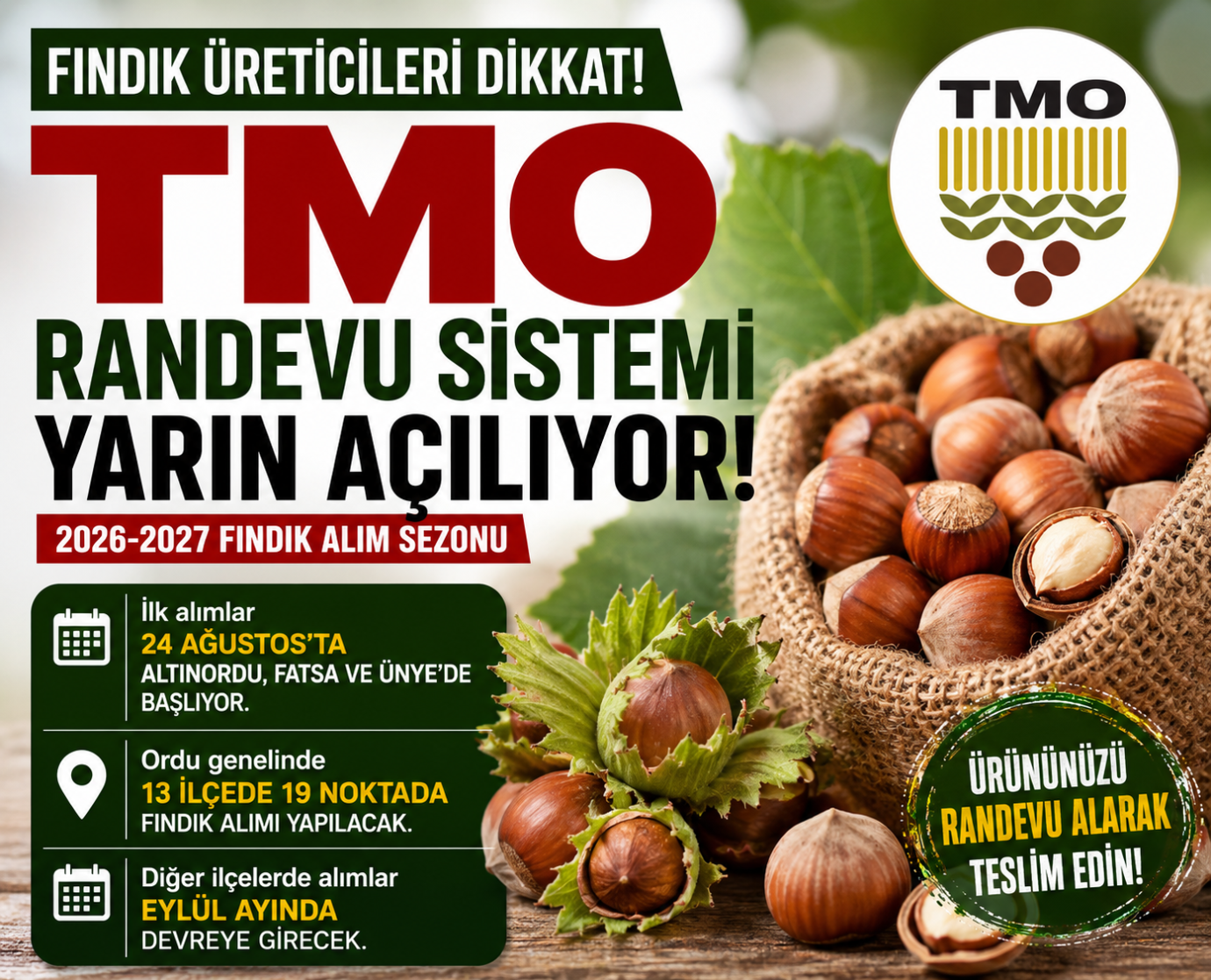 TMO Fındık Alımında Randevu Sistemi Yarın Açılıyor