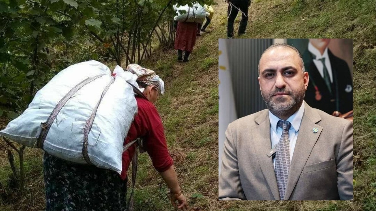 İYİ Parti Ordu İl Başkanı Titiz: Fındıkta Kota Kaldırılmalı, Ödemeler 7 Günde Yapılmalı