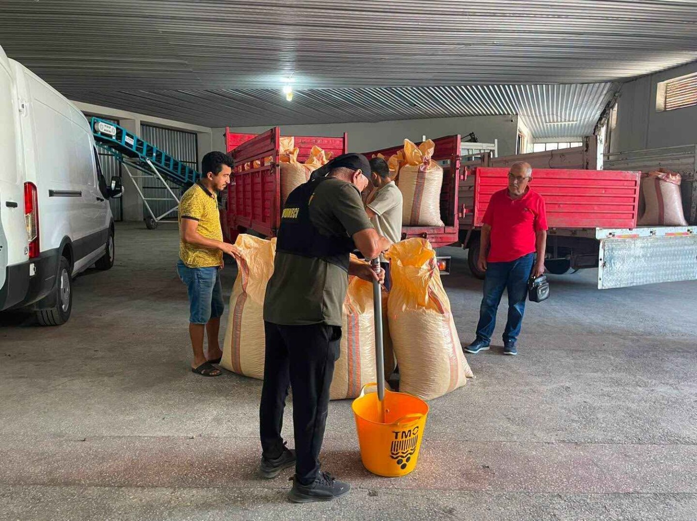 TMO Ordu’da Fındık Alımına Başladı: İlk Ürün 260 TL’den Alındı