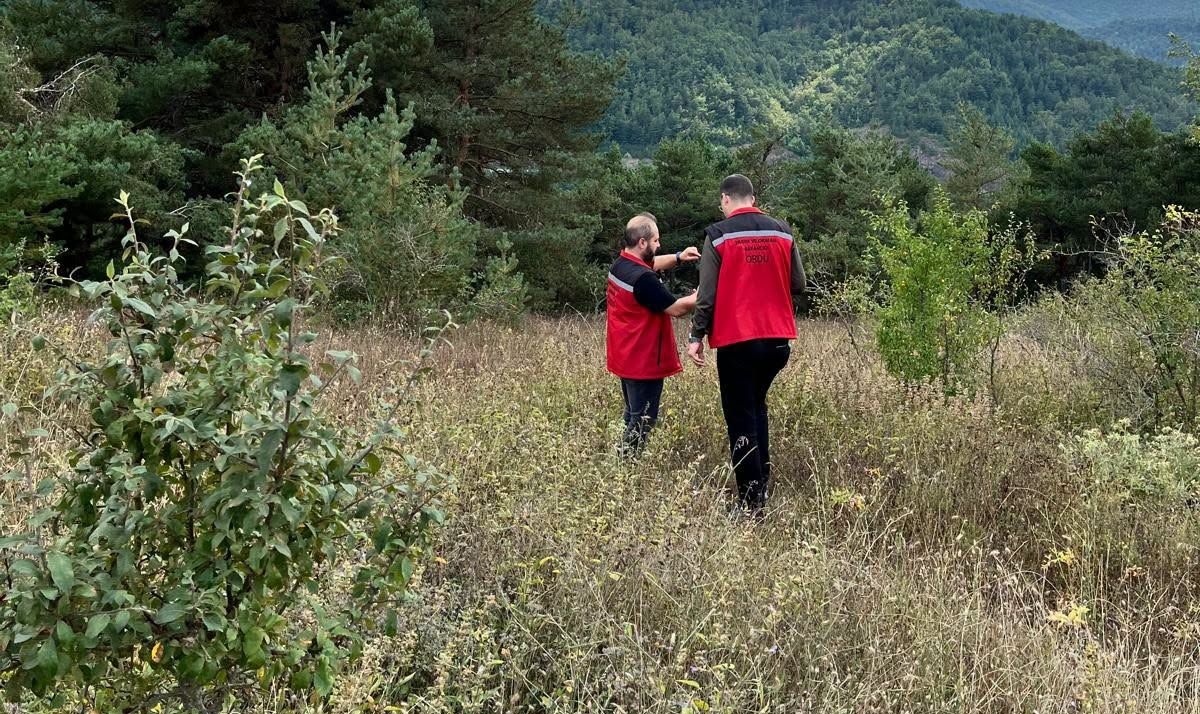 Ordu’da İşlenmeyen Tarım Arazileri İçin Denetim Başladı: İki Yıl Boş Kalanlar Kiraya Verilecek