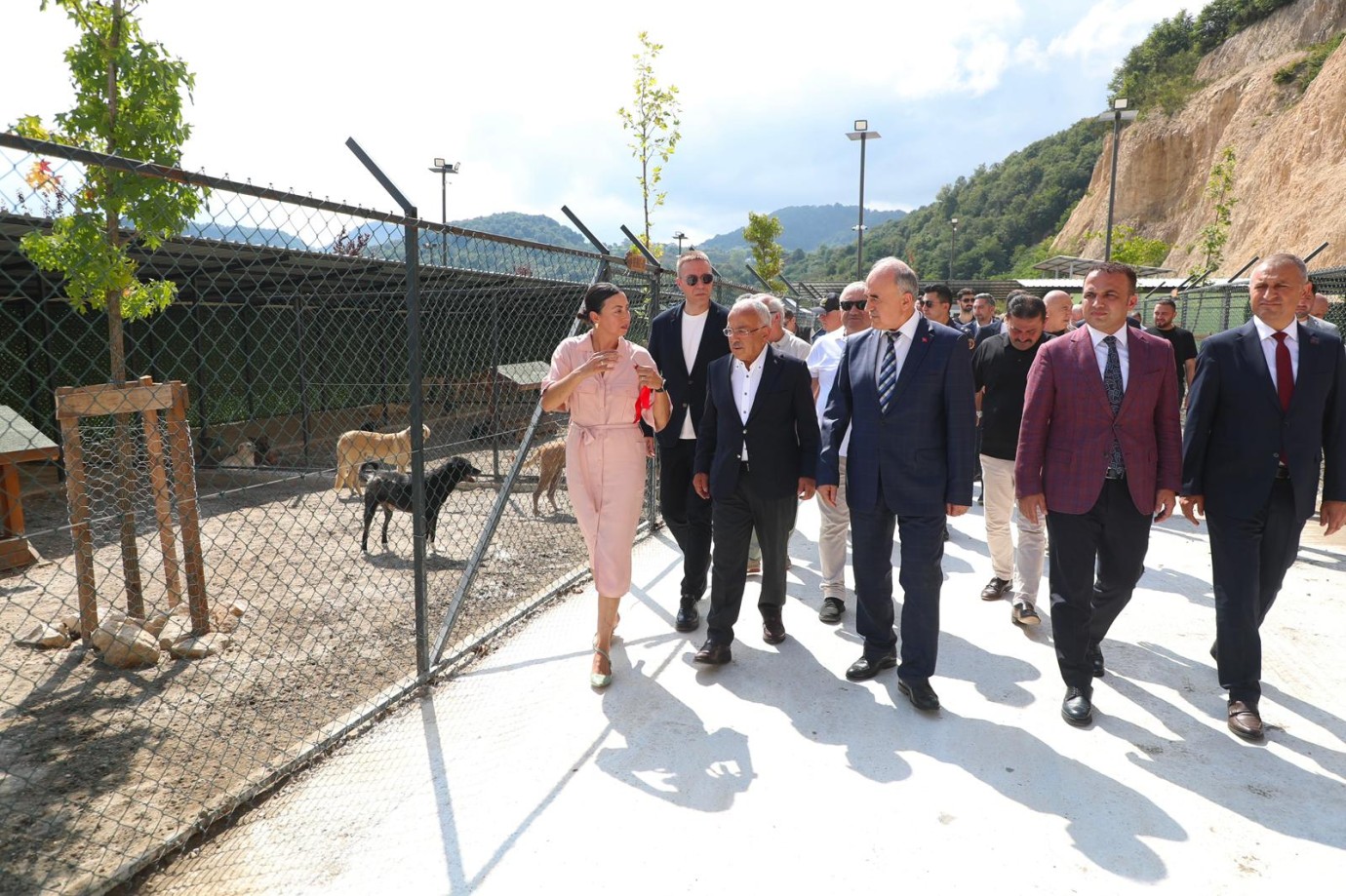 Fatsa’da Sokak Hayvanları İçin 12 Dönümlük Doğal Yaşam Alanı Açıldı
