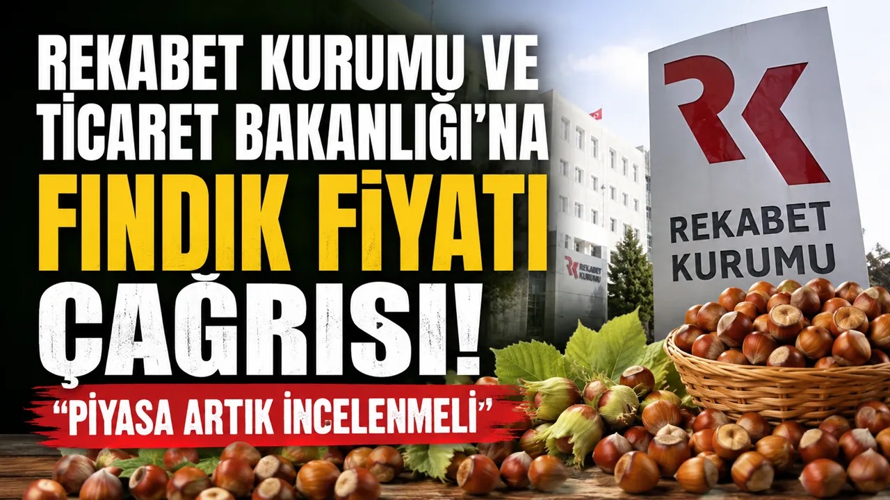Fındıkta Fiyat Makası Tepki Çekti: “Piyasa Araştırılmalı”