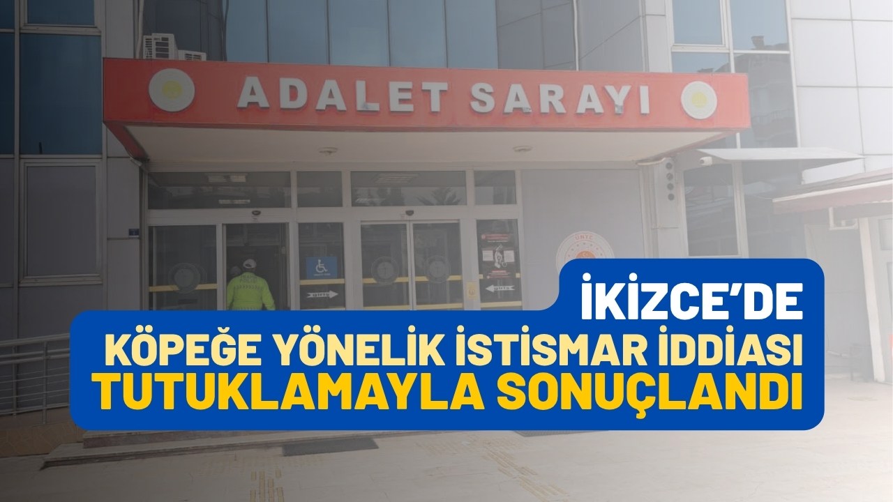 İkizce’de Köpeğe İstismar İddiası: Şüpheli Tutuklandı