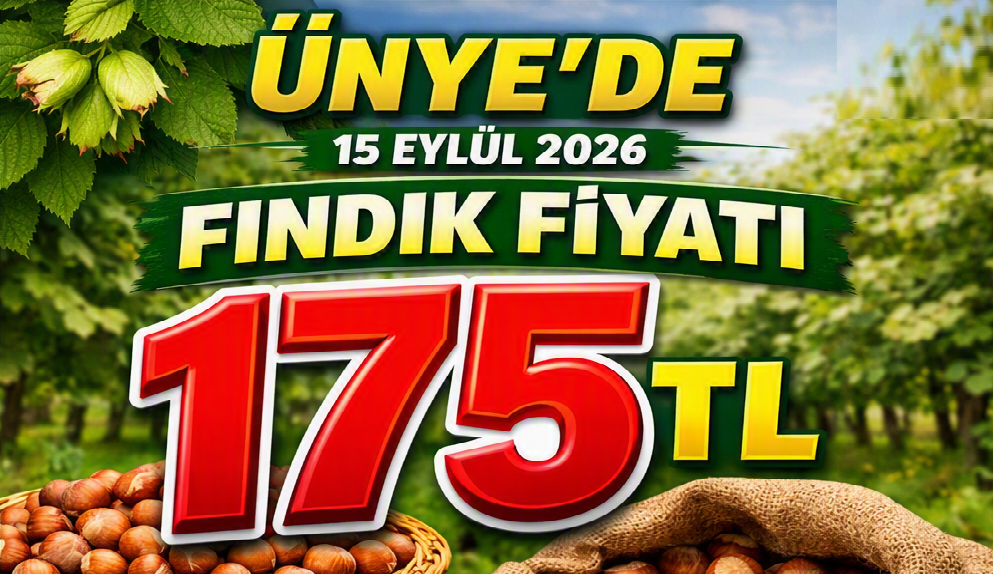 Fındık Piyasasında Hareketlilik Sürüyor: Ünye’de Fiyat 175 TL
