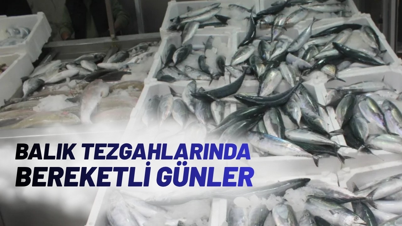 Ünye’de Balık Tezgahları Şenlendi: Palamut 100 TL