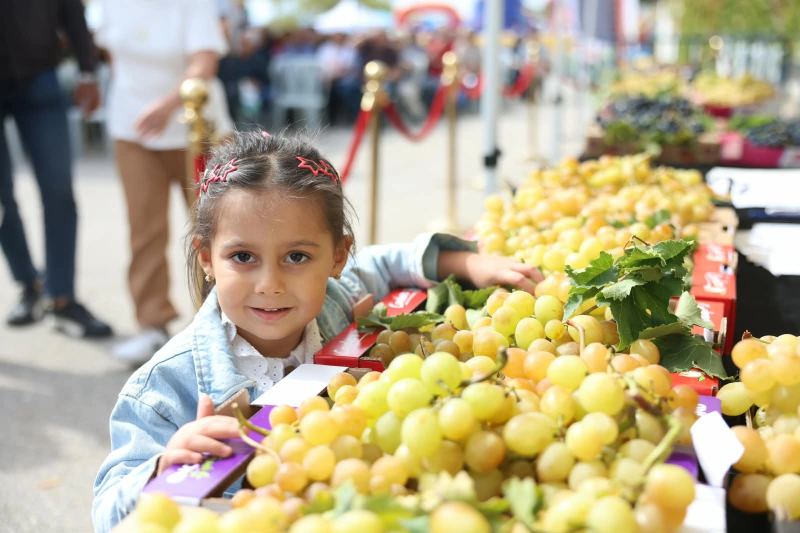 Bursa Osmangazi’de üzüm bereketi festivalle taçlandı