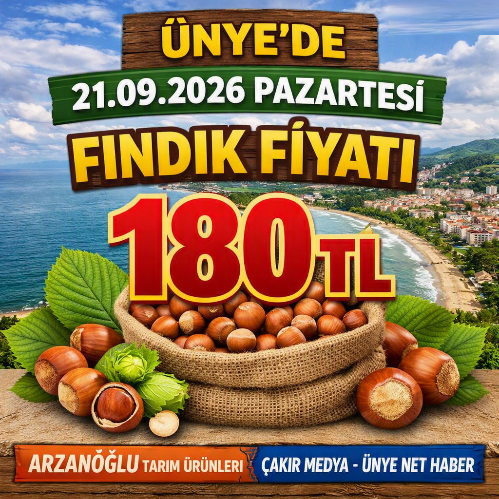 ÜNYE’DE FINDIK FİYATI BUGÜN 180 TL!