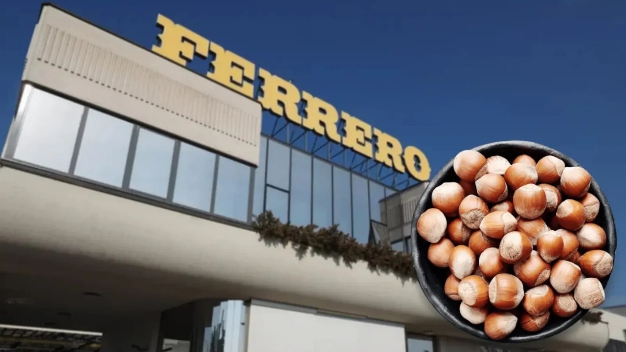 Ferrero’nun Fındık Alımı İçin Gözler 17 Ekim’e Çevrildi