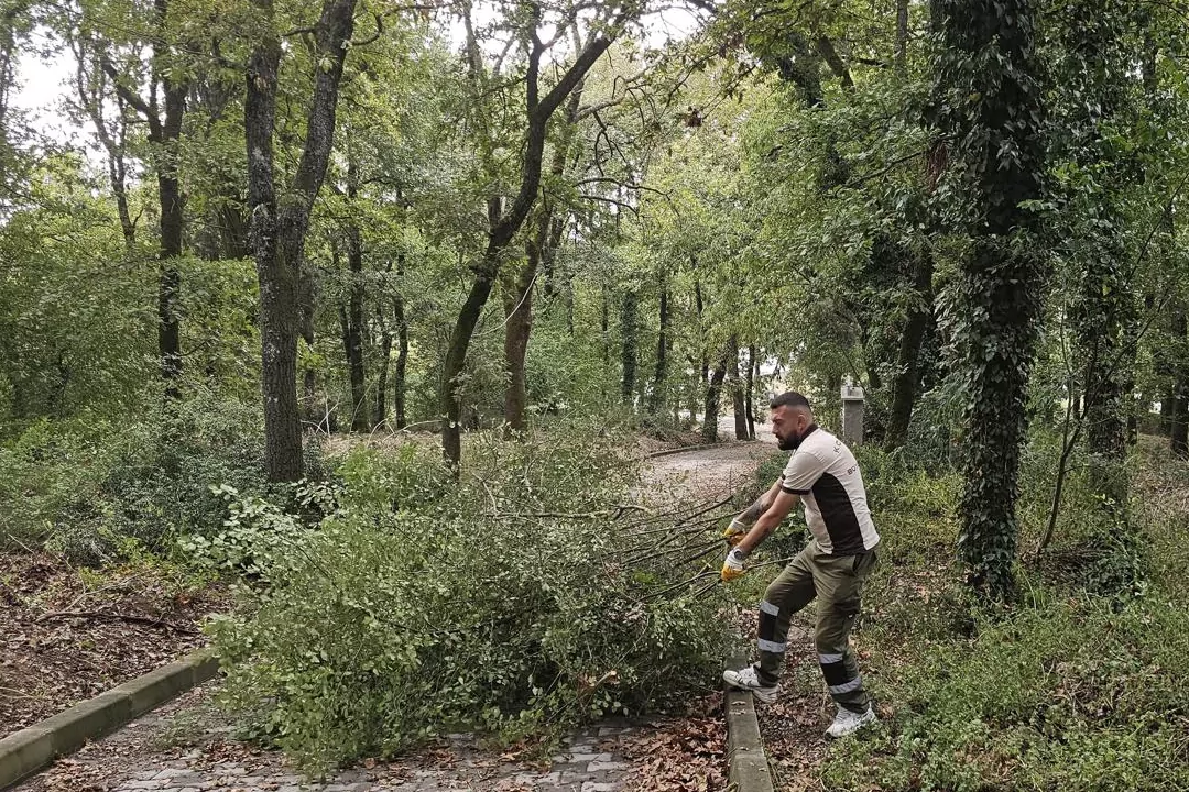 Kocaeli Gebze’deki mezarlıklarda yoğun mesai