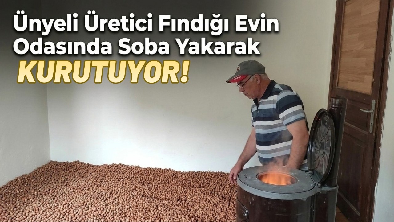 Hava Muhalefeti Üreticiyi Çaresiz Bıraktı: Fındığını Evinin Odasında Soba Yakarak Kurutuyor