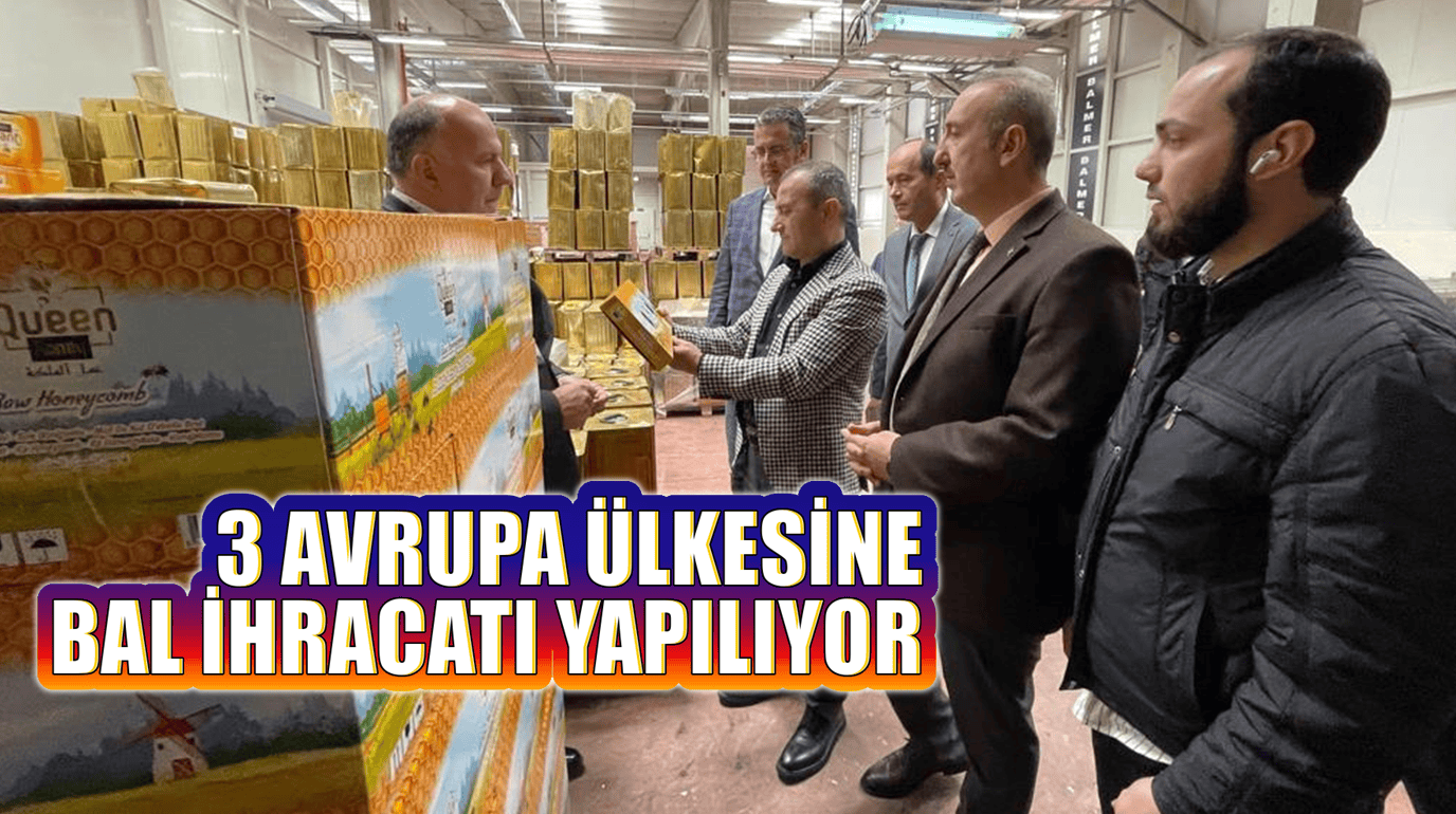 Balmer’den, 3 Avrupa Ülkesine Bal İhracatı Yapılıyor