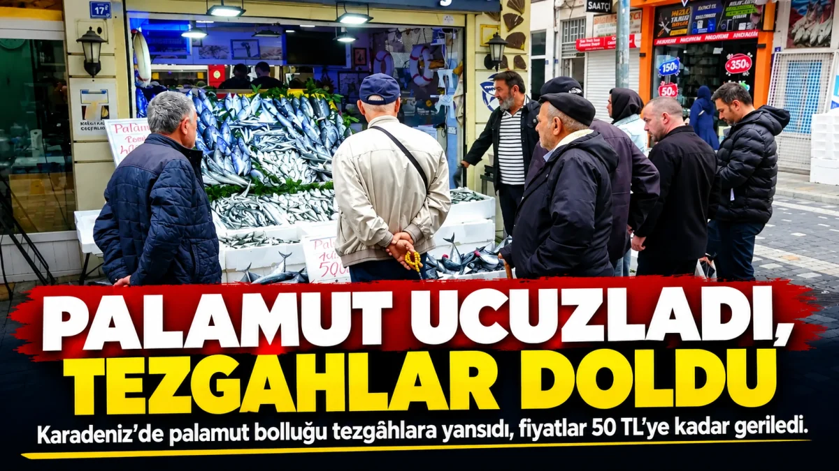 Palamut 50 TL’ye Kadar Geriledi: Karadeniz Tezgâhlarında Bolluk Bereketi