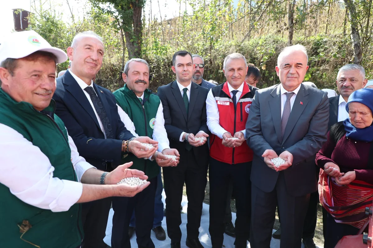 Akkuş Şeker Fasulyesinde Hedef Üretimi Artırmak: Sulama Projesi Müjdesi