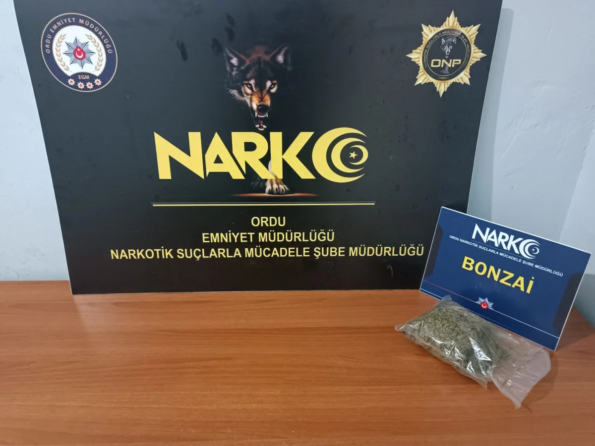 Ordu’da Uyuşturucu Operasyonu: Sentetik Kannabinoid Ele Geçirildi, 1 Kişi Tutuklandı