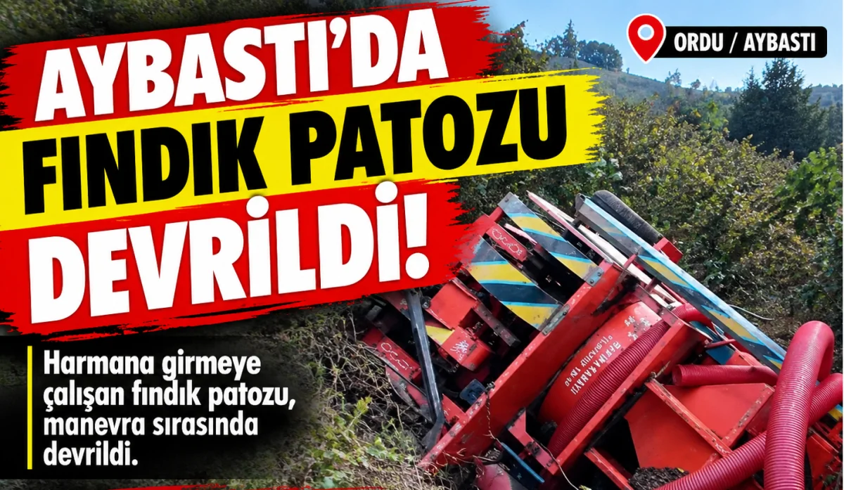 Aybastı’da Fındık Patozu Devrildi!