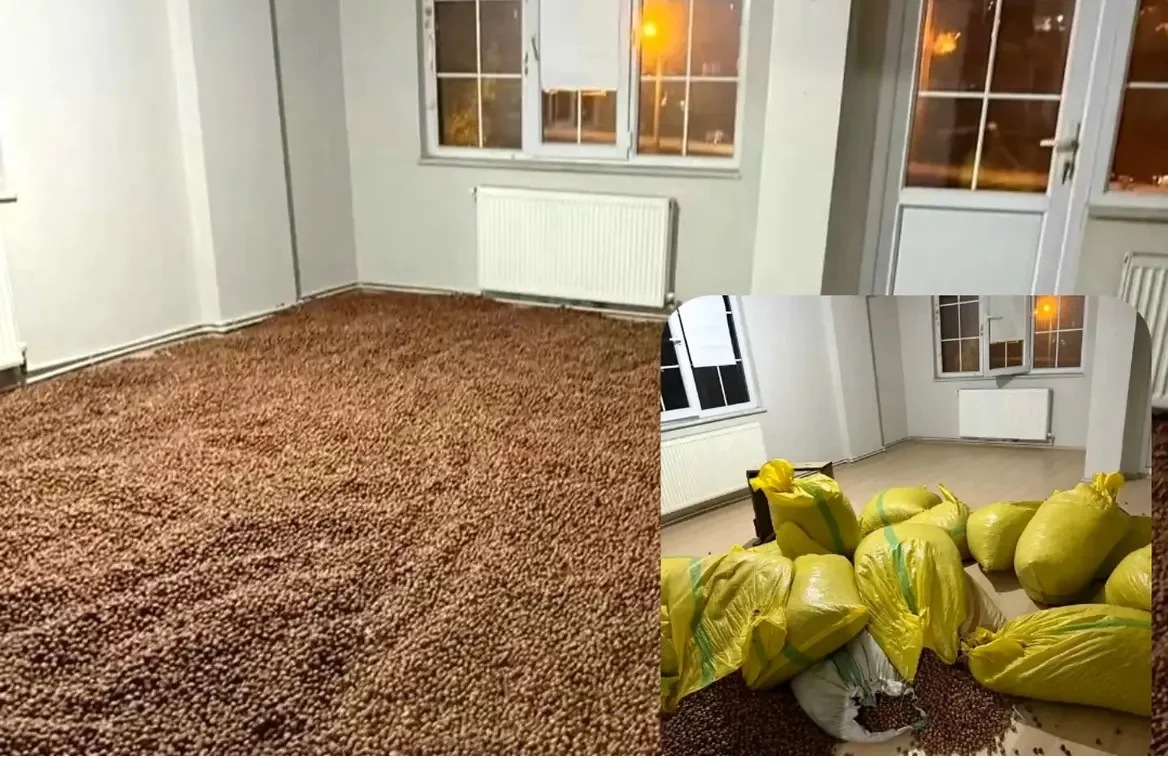 Boş Daireyi Fındık Kurutma Alanına Çevirdi! Kombiyi Açıp Petekleri Yaktı