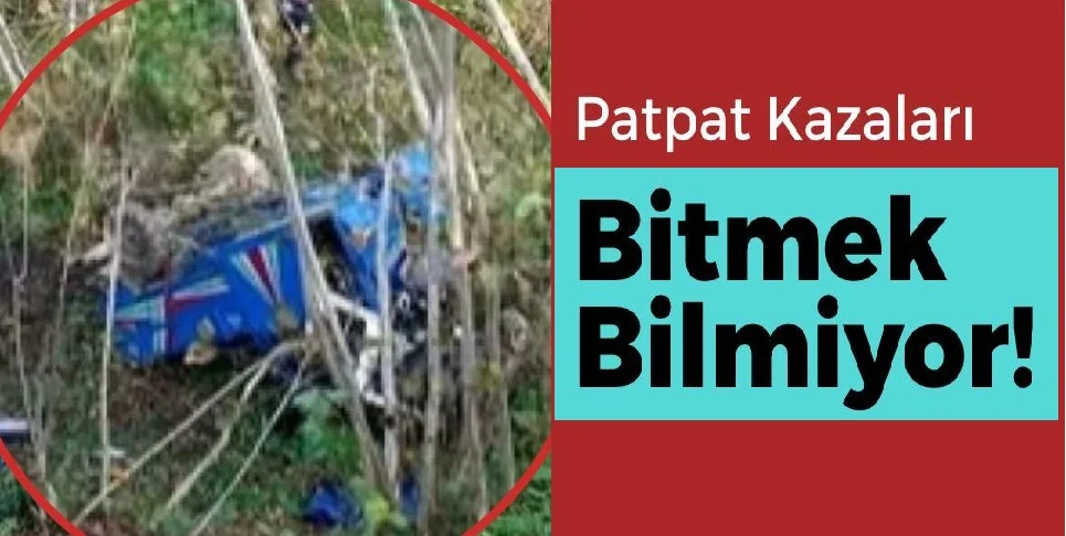 Çamaş’ta Patpat Fındık Bahçesine Devrildi: Yaralılar Var