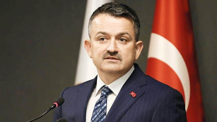 Bakan açıkladı 3 sektöre hibe desteği