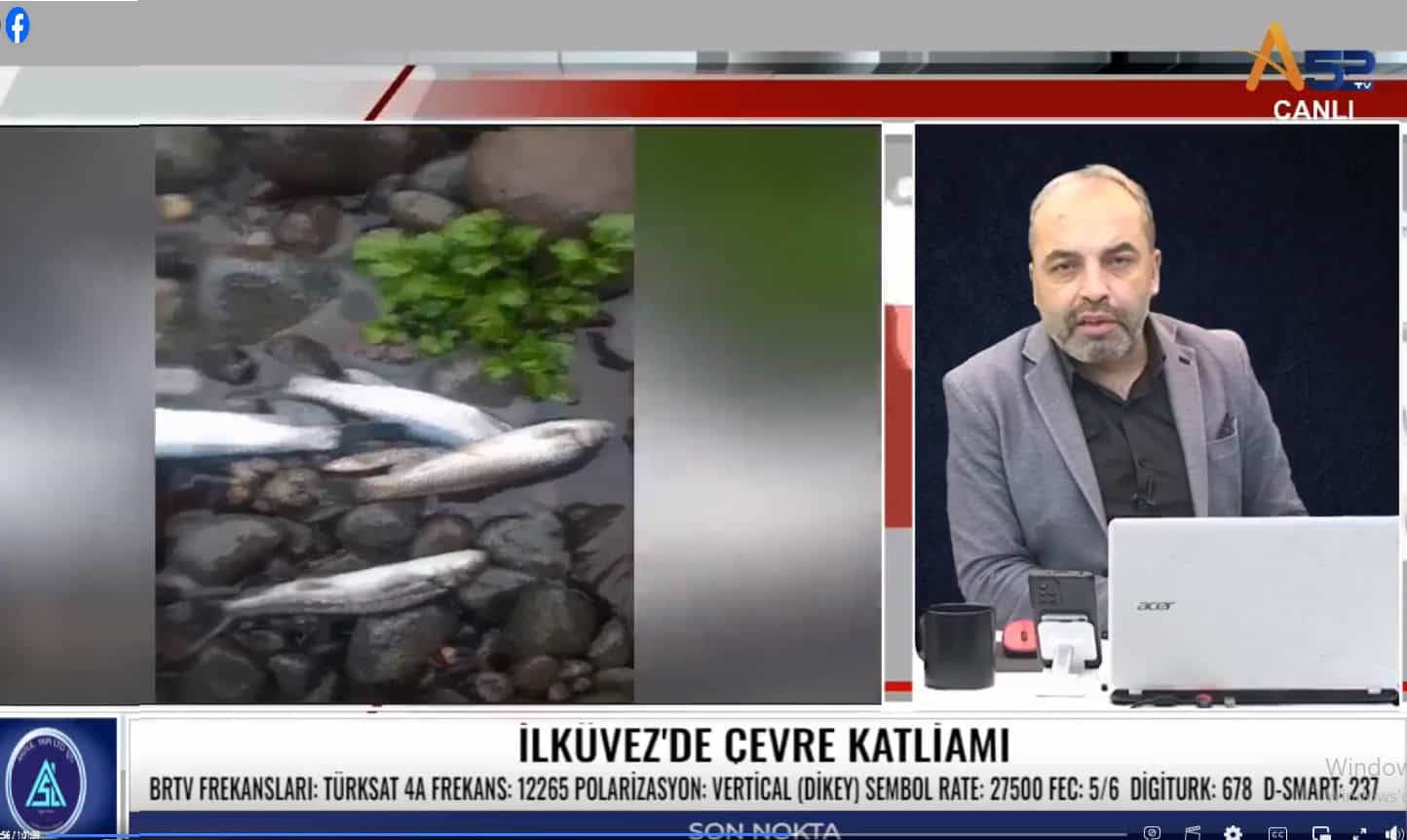 İLKÜVEZ'DE ÇEVRE KATLİAMI