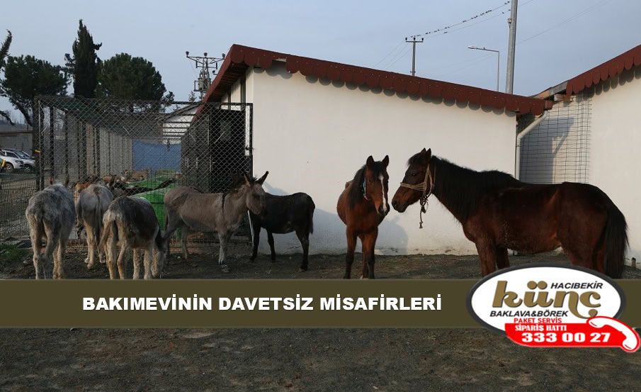 Akkuş Belediyespor’da Hedef 4’te 4
